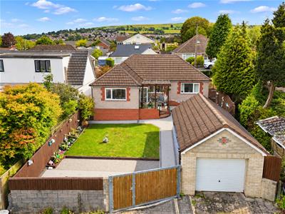Picture 39